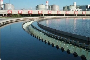 反硝化浮泥該如何預防？你知道嗎？