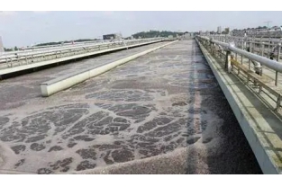 【重要】水中溶解氧越高，處理效果越好么？