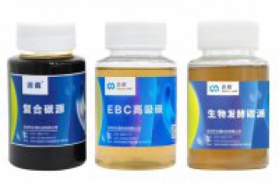 在設計污水處理系統時，如何評估碳源負荷？